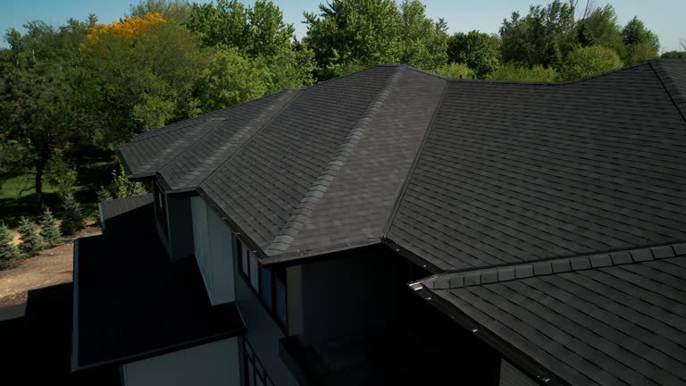 Professional Roofing service in Laureles, TX