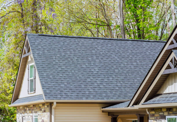 Best Roof Maintenance and Cleaning  in Laureles, TX